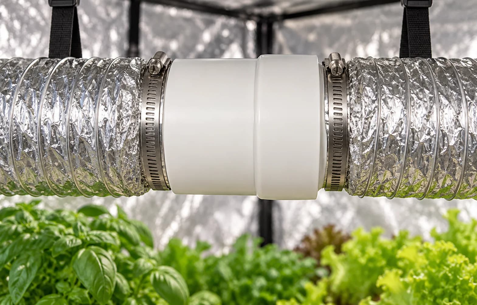 Exaustor tubular APJ branco preso entre dois dutos de alumínio dentro de uma grow tent, sobre manjericão e alface